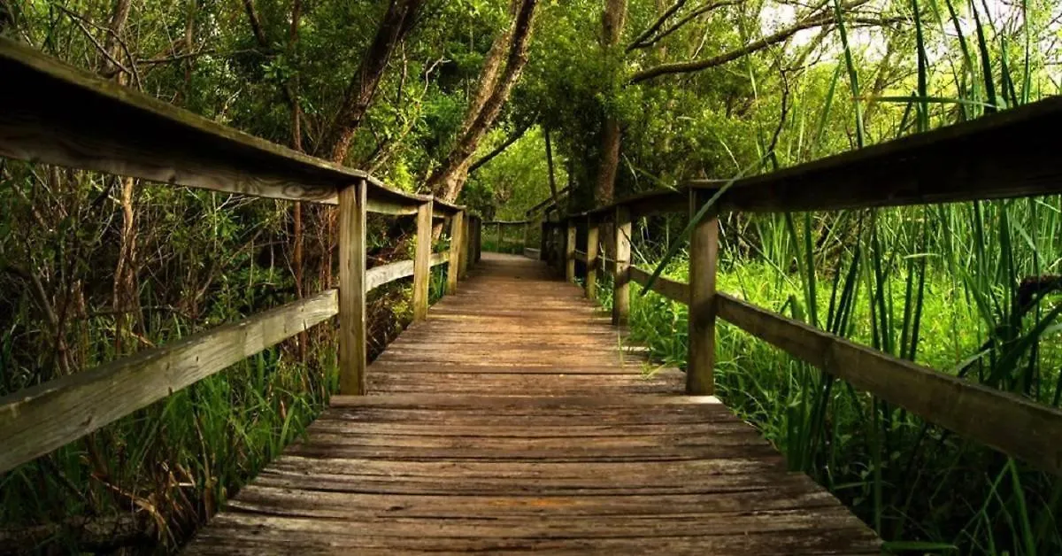 Prázdninový dům Vila 24 Cartgate Hilton Head Island
